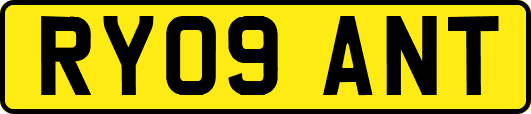 RY09ANT