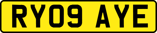 RY09AYE