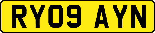 RY09AYN