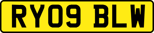 RY09BLW