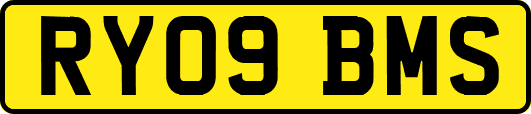 RY09BMS
