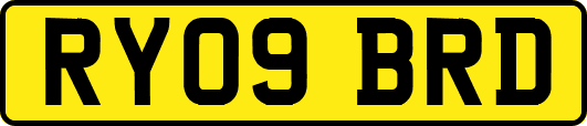 RY09BRD