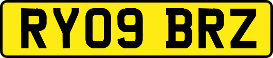 RY09BRZ