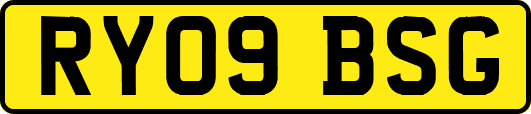 RY09BSG