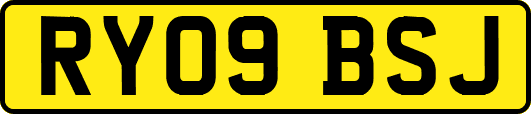 RY09BSJ