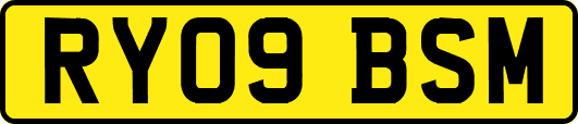 RY09BSM