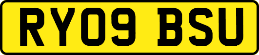 RY09BSU