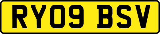 RY09BSV