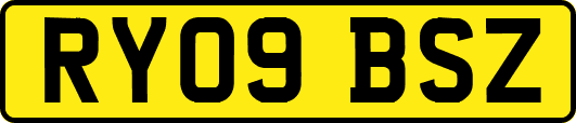RY09BSZ