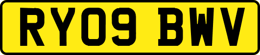 RY09BWV