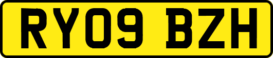 RY09BZH