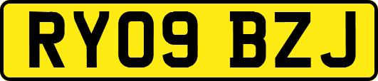 RY09BZJ