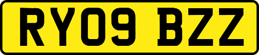 RY09BZZ