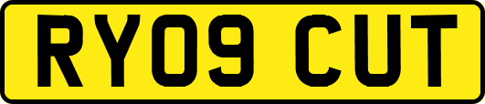 RY09CUT