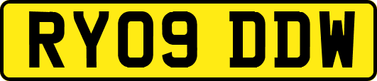 RY09DDW