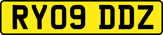 RY09DDZ