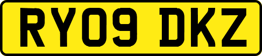 RY09DKZ