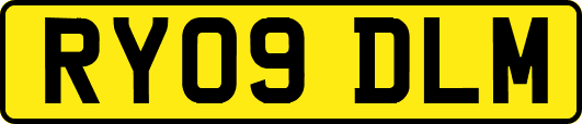 RY09DLM
