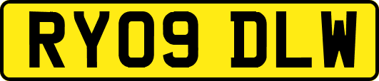 RY09DLW