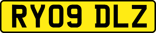 RY09DLZ