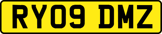 RY09DMZ