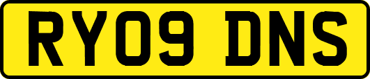 RY09DNS