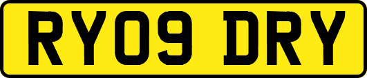 RY09DRY