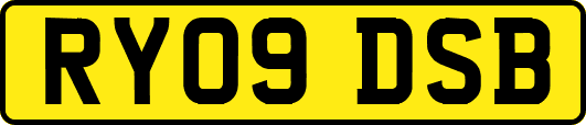 RY09DSB