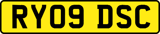 RY09DSC