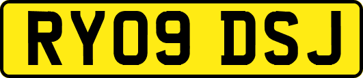 RY09DSJ