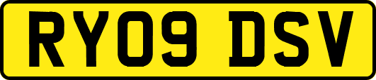 RY09DSV