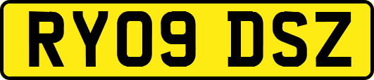 RY09DSZ