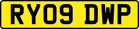 RY09DWP
