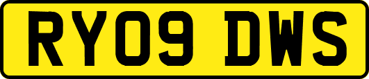 RY09DWS