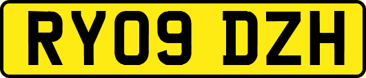 RY09DZH