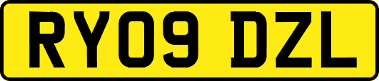 RY09DZL