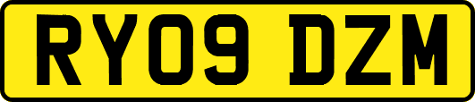 RY09DZM
