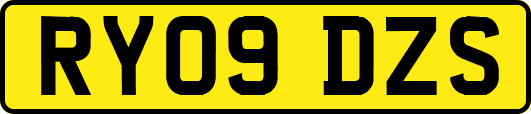 RY09DZS