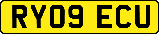 RY09ECU