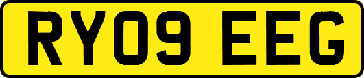 RY09EEG