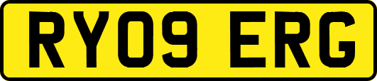 RY09ERG