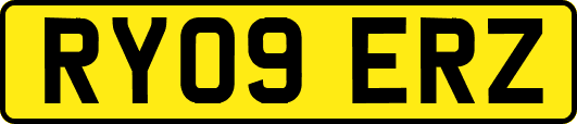 RY09ERZ