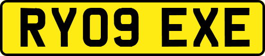 RY09EXE