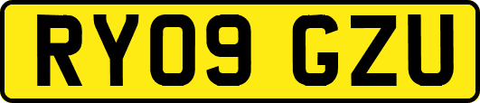 RY09GZU