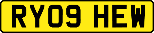 RY09HEW
