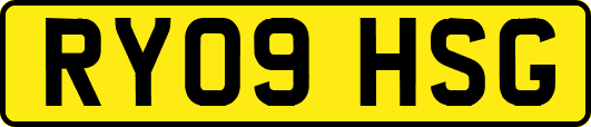 RY09HSG
