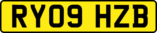 RY09HZB