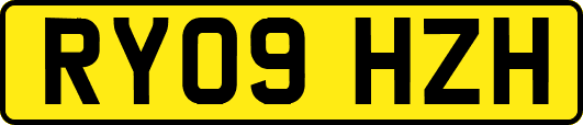 RY09HZH
