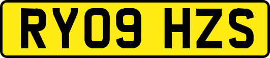 RY09HZS
