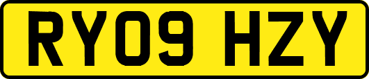 RY09HZY